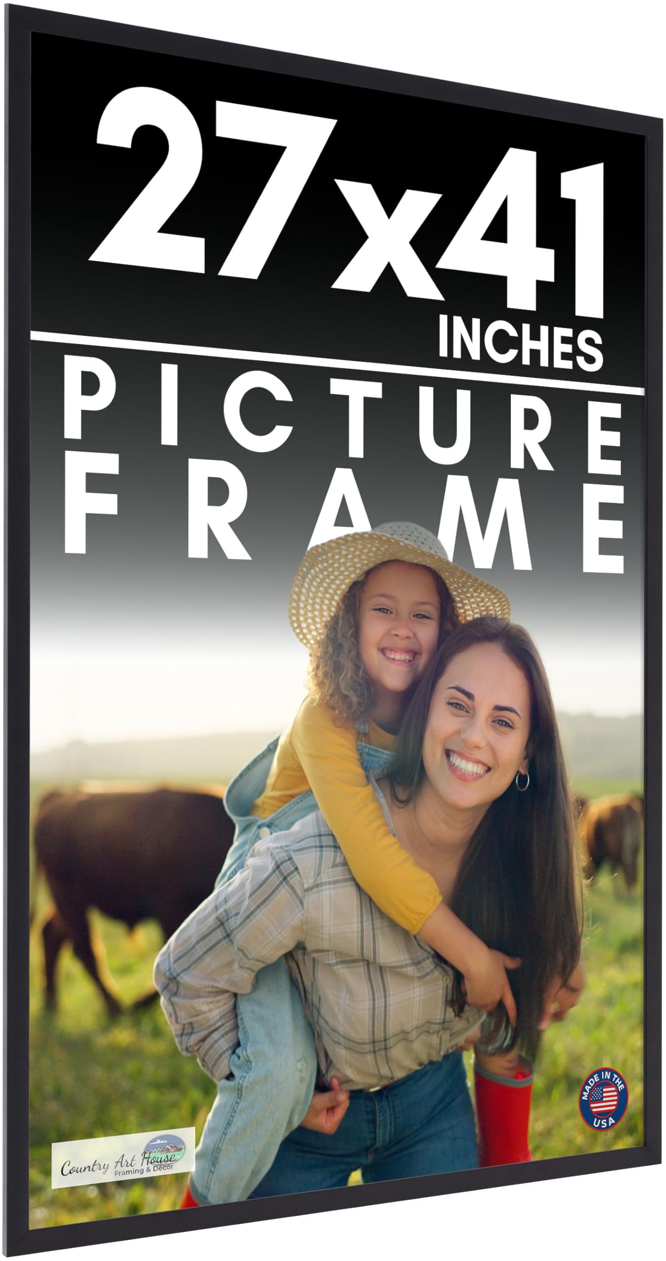 Amazon.com - 27x41 Frame Black Picture Frame - Complete Modern
